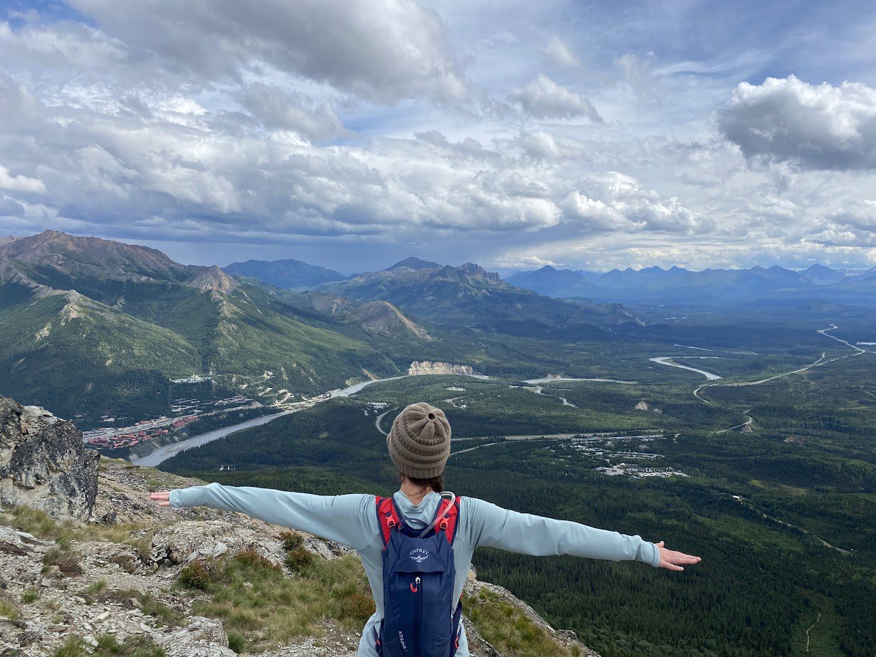 denali national park alaska mt healy overlook