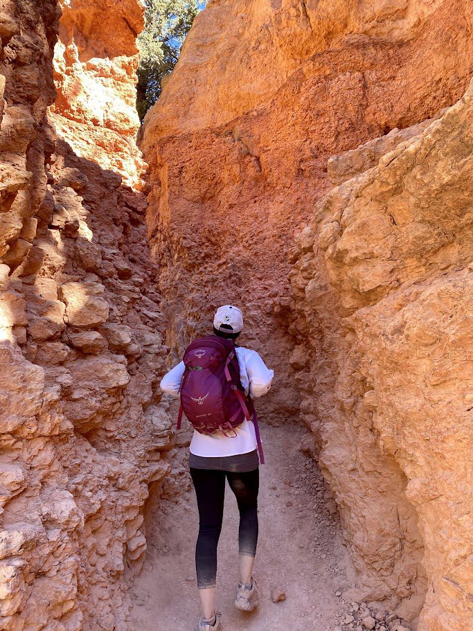 utah bryce canyon national park trail