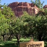 utah capitol reef national park orchards